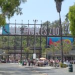 Los-Angeles-Zoo.jpg