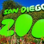San-Diego-Zoo.jpg