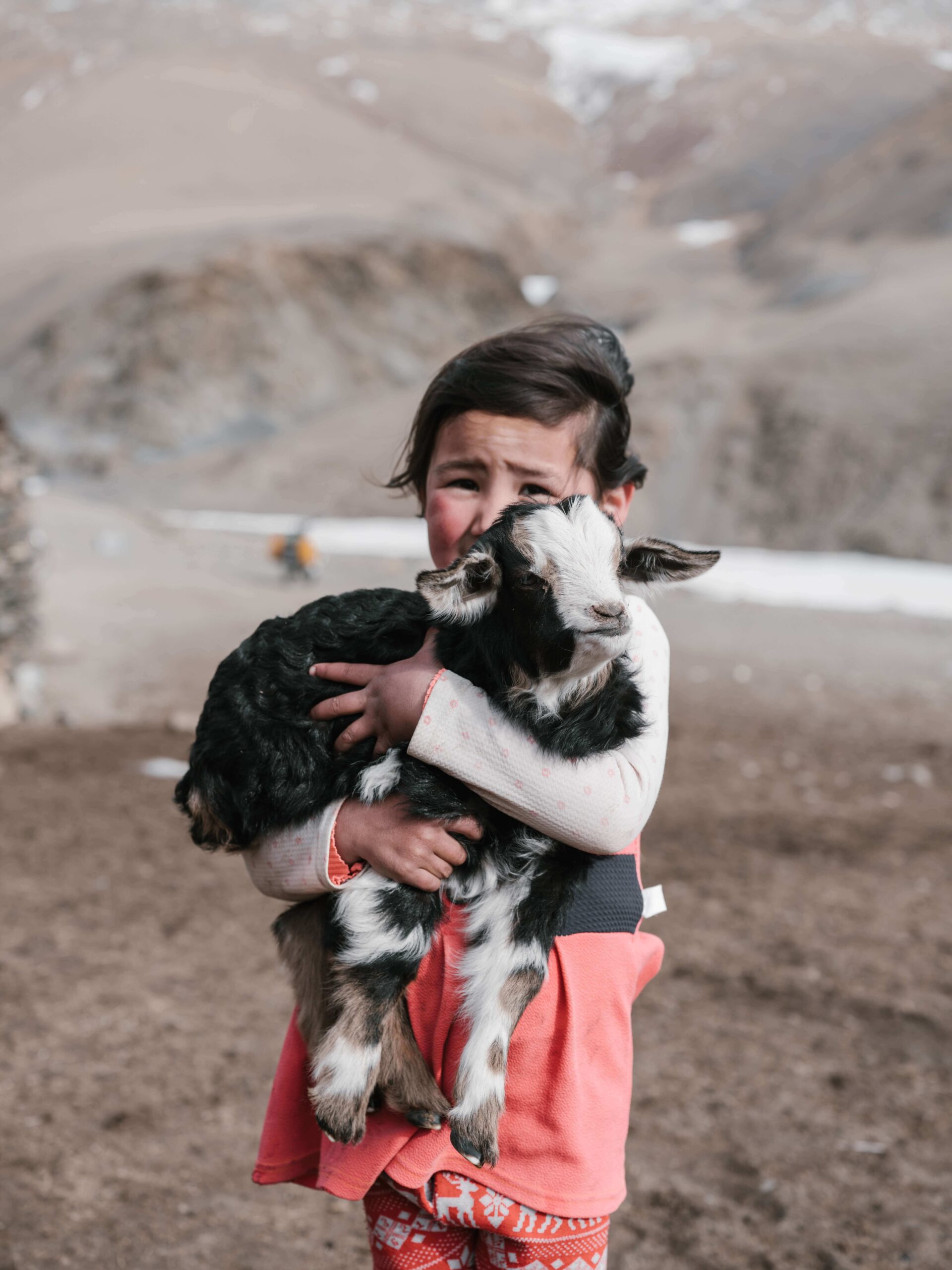 Little girl holding a baby goat