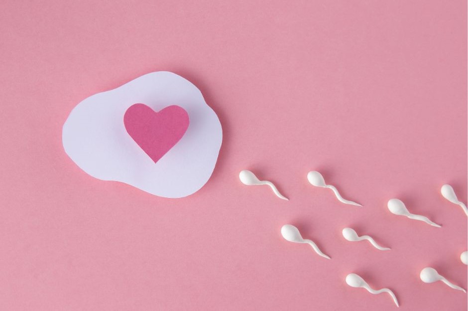 Read more about the article 5 Reasons To Go To a Fertility 101 Event